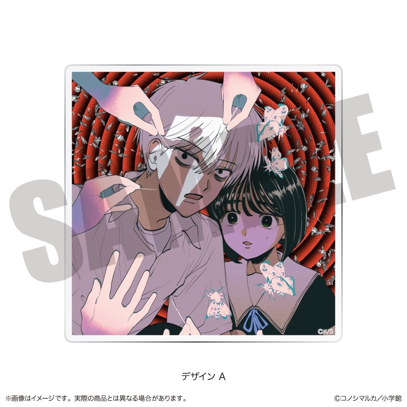 「写らナイんです」 トレーディングミニアクリルボード 単品 画像 2 | AniSmile