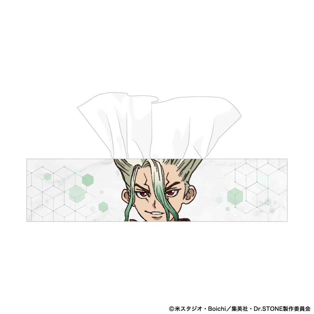 Dr.STONE ティッシュカバー 画像 3 | AniSmile