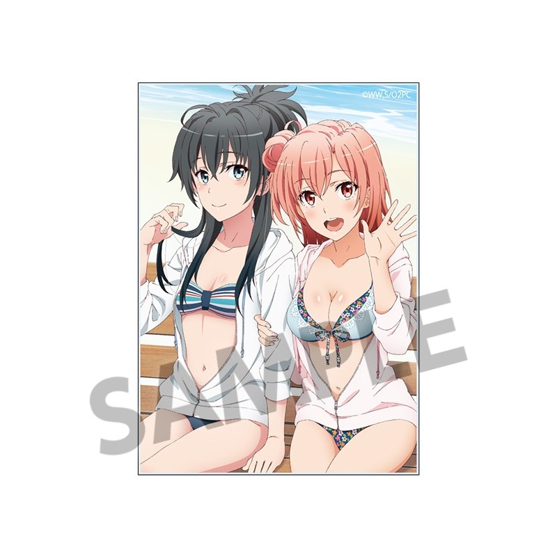 やはり俺の青春ラブコメはまちがっている。シリーズ トレーディングアクリルカード vol.1 Image 2 | AniSmile