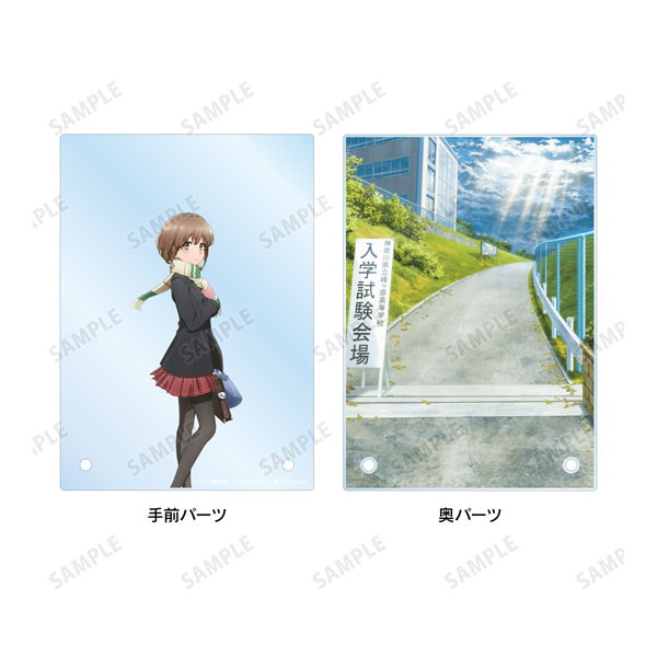青春ブタ野郎はおでかけシスターの夢を見ない キービジュアル ダブルアクリルパネル 画像 3 | AniSmile