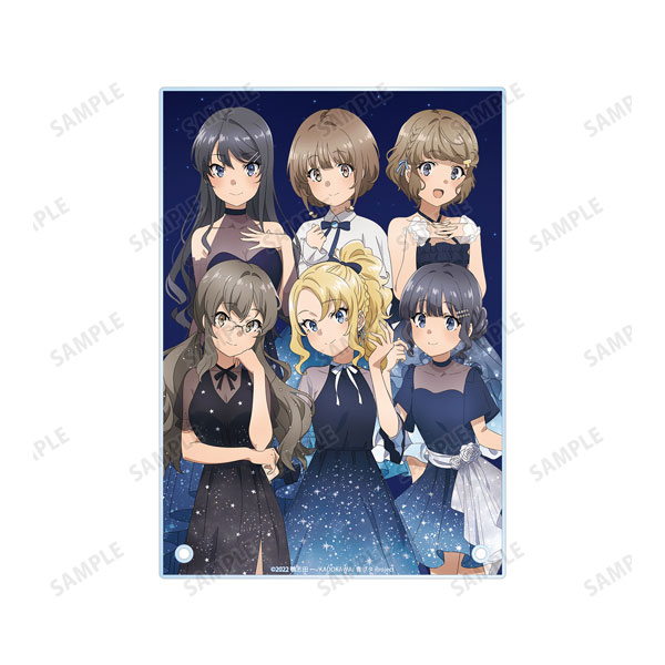 青春ブタ野郎はおでかけシスターの夢を見ない 描き下ろしイラスト 集合 星空ドレスver. A5アクリルパネル 画像 3 | AniSmile