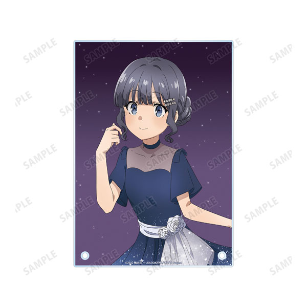 青春ブタ野郎はおでかけシスターの夢を見ない 描き下ろしイラスト 牧之原翔子 星空ドレスver. A5アクリルパネル 画像 3 | AniSmile