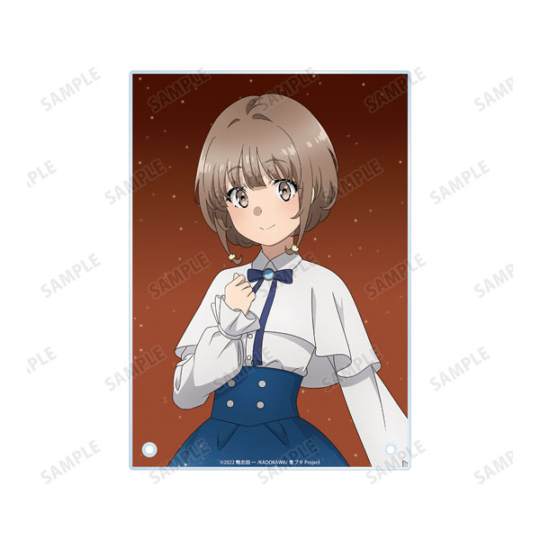 青春ブタ野郎はおでかけシスターの夢を見ない 描き下ろしイラスト 梓川花楓 星空ドレスver. A5アクリルパネル 画像 3 | AniSmile
