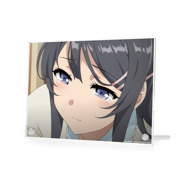 青春ブタ野郎はバニーガール先輩の夢を見ない 桜島麻衣 場面写A5アクリルパネル ver.A Image 2 | AniSmile