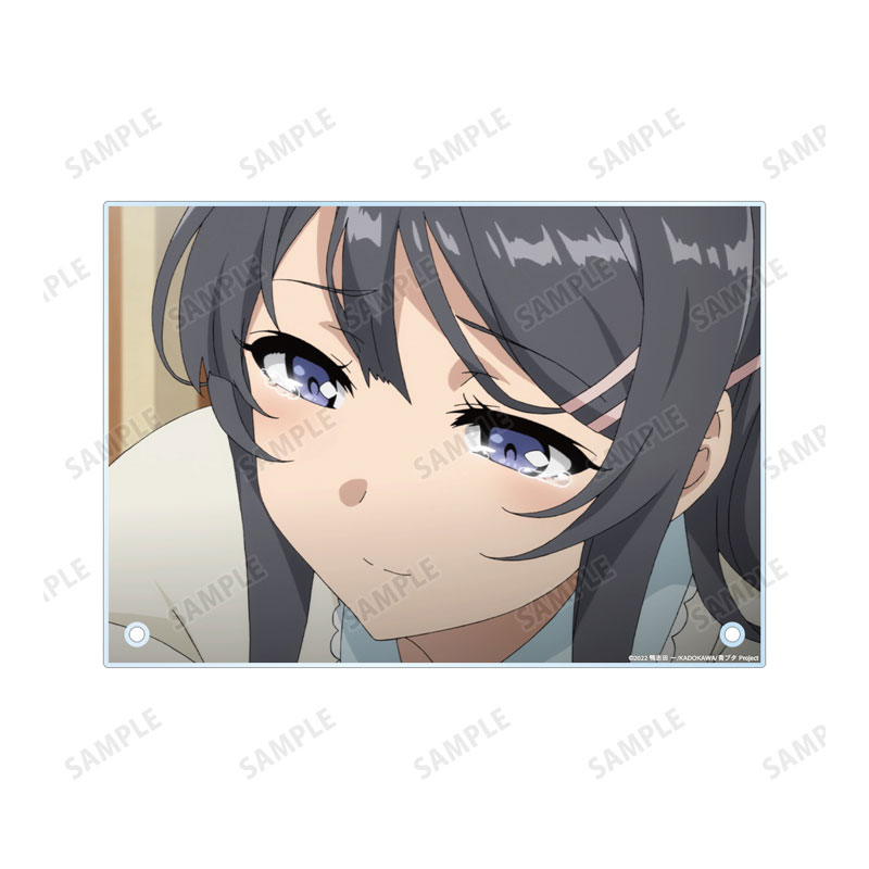 青春ブタ野郎はバニーガール先輩の夢を見ない 桜島麻衣 場面写A5アクリルパネル ver.A Image 4 | AniSmile