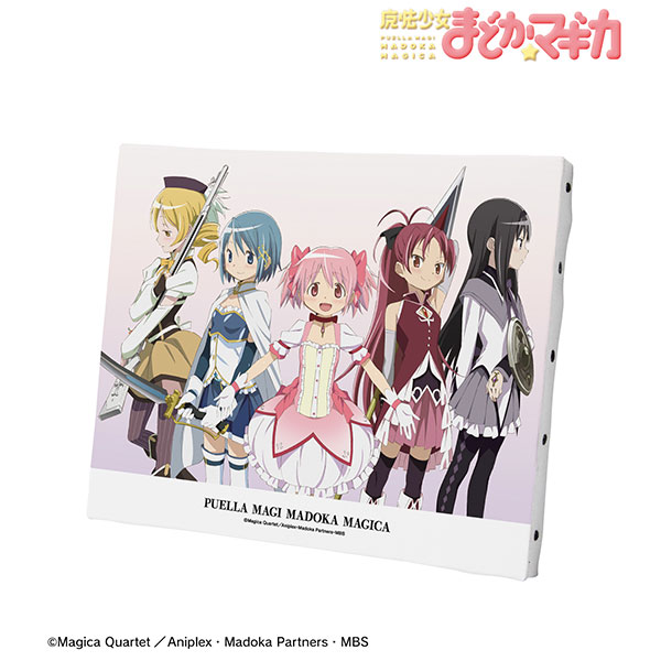TVアニメ「魔法少女まどか☆マギカ」 魔法少女集合 キャンバスボード - 公式商品画像 | AniSmile