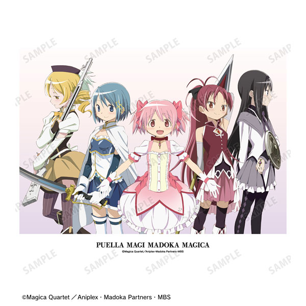 TVアニメ「魔法少女まどか☆マギカ」 魔法少女集合 キャンバスボード 画像 2 | AniSmile