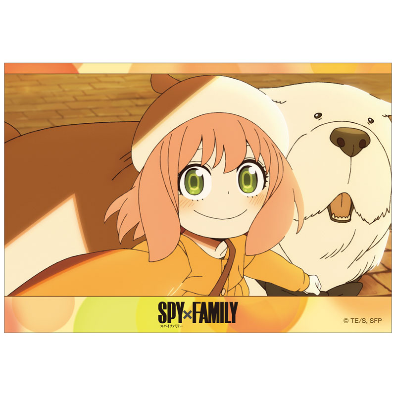 SPY×FAMILY ブロマイド5枚セット Season3 ED ver. Image 3 | AniSmile
