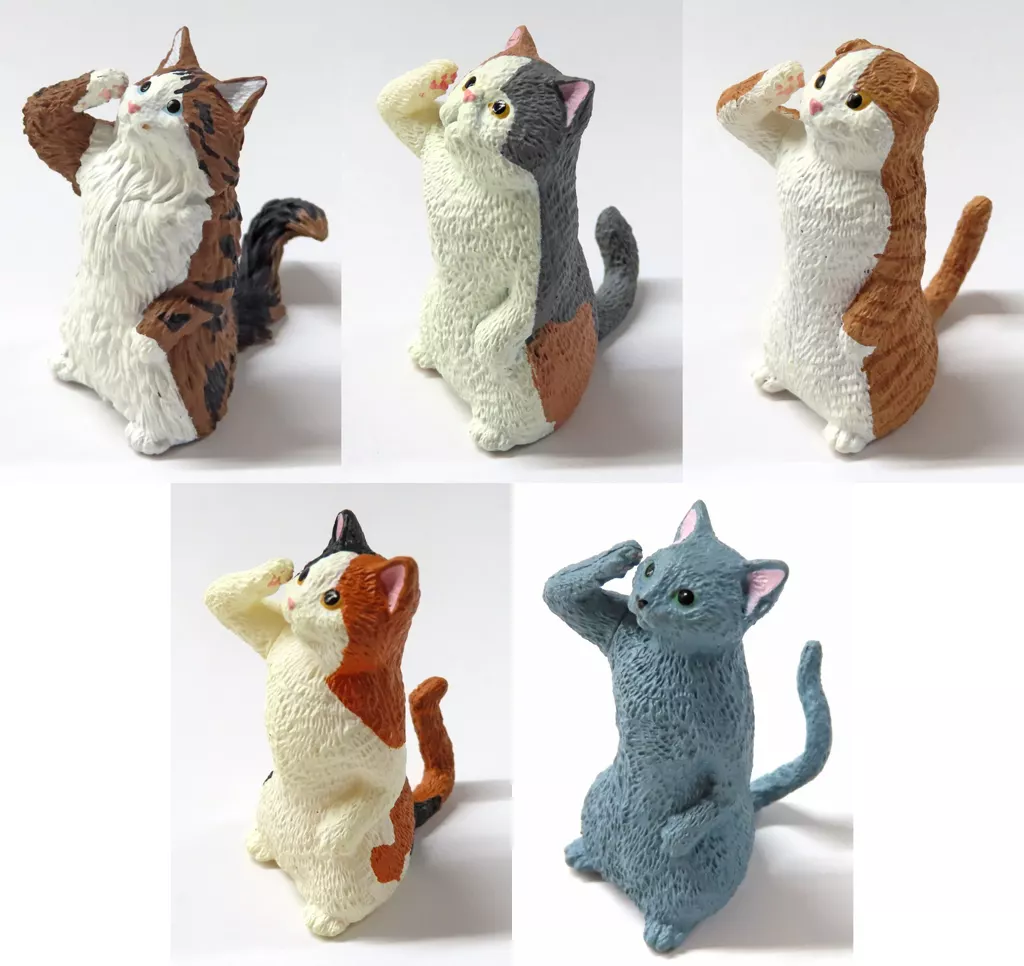 無くなり次第終売 敬礼~猫~ - 公式商品画像 | AniSmile