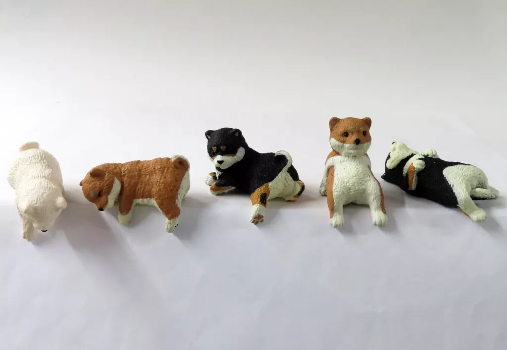 ふちやすみ 柴犬 - 公式商品画像 | AniSmile