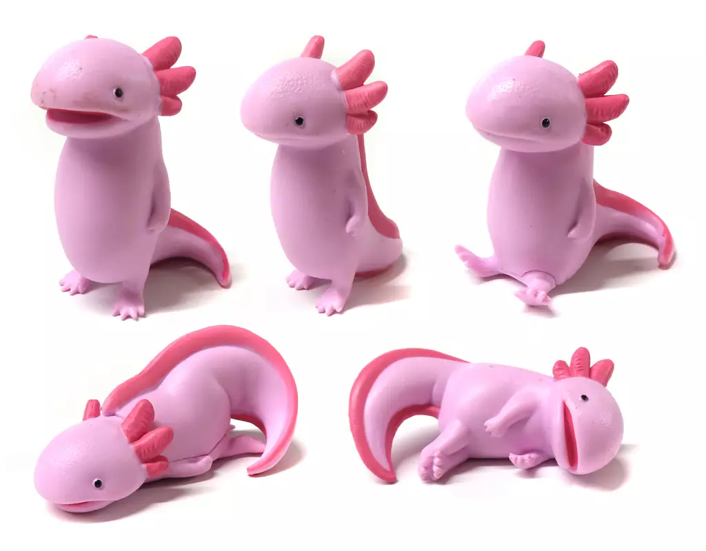 虚無。~ウーパールーパー~ - 公式商品画像 | AniSmile