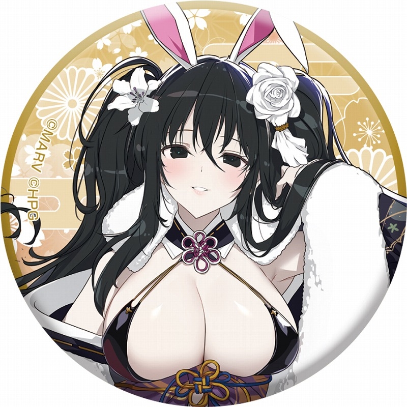 閃乱カグラ 描き下ろし缶バッジセット【和風バニーver.】B 画像 3 | AniSmile