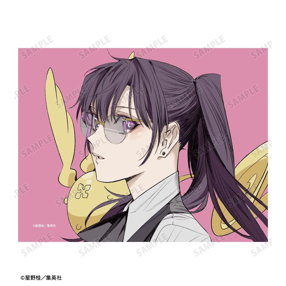 D.Gray-man リナリー・リー&ティムキャンピー カラーイラストF0号キャンバスボード 画像 3 | AniSmile