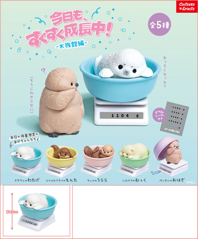 未掲載 今日も、すくすく成長中-水族館編- 画像 2 | AniSmile