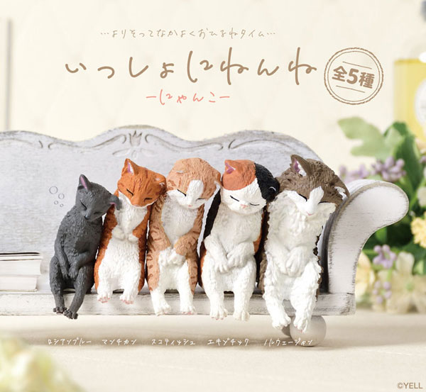 いっしょにねんね にゃんこ - 公式商品画像 | AniSmile