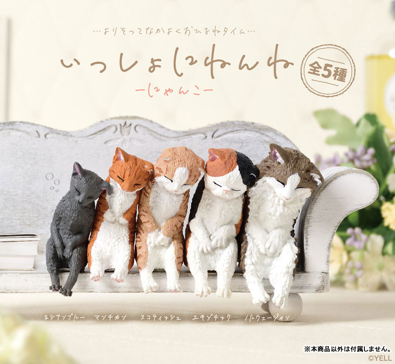 いっしょにねんね にゃんこ 画像 2 | AniSmile