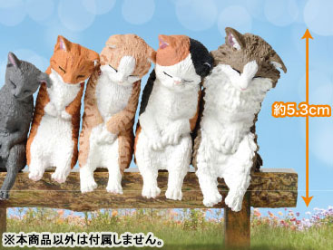 いっしょにねんね にゃんこ 画像 3 | AniSmile