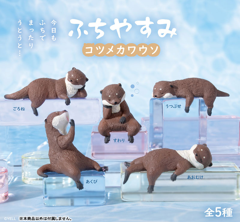 ふちやすみコツメカワウソ 画像 2 | AniSmile