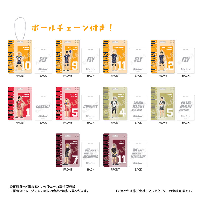 BLISTAZ.<10>ハイキュー!! 画像 2 | AniSmile