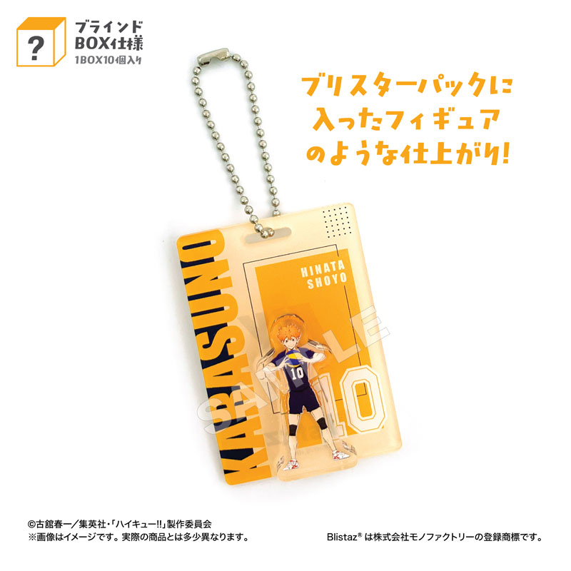 BLISTAZ.<10>ハイキュー!! 画像 3 | AniSmile
