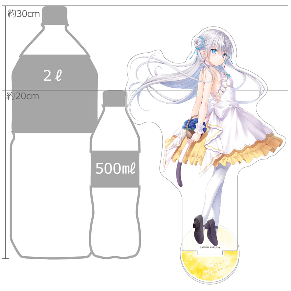 Key25th 特大アクリルスタンド(辻倉朱比華/Key25th) 画像 2 | AniSmile