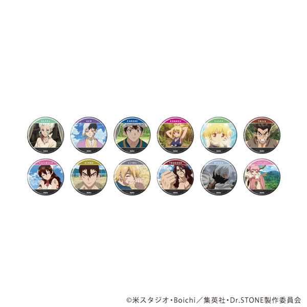 缶バッジ「Dr.STONE」35/ブラインド(全12種)(場面写イラスト) - 公式商品画像 | AniSmile