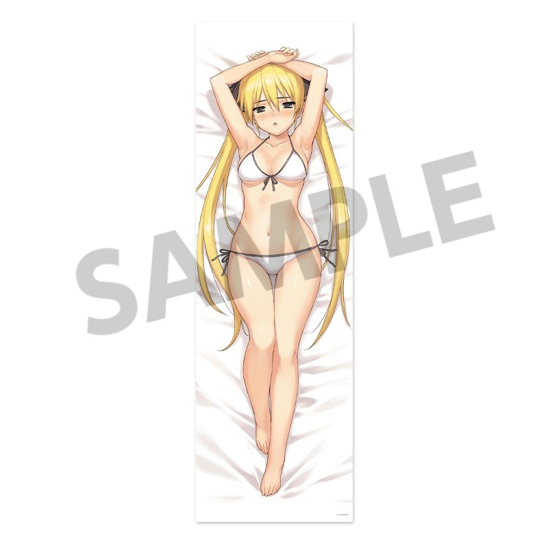 ドリームクラブ 描き下ろし抱き枕カバー 魅杏 リニューアル ver. 图片 3 | AniSmile