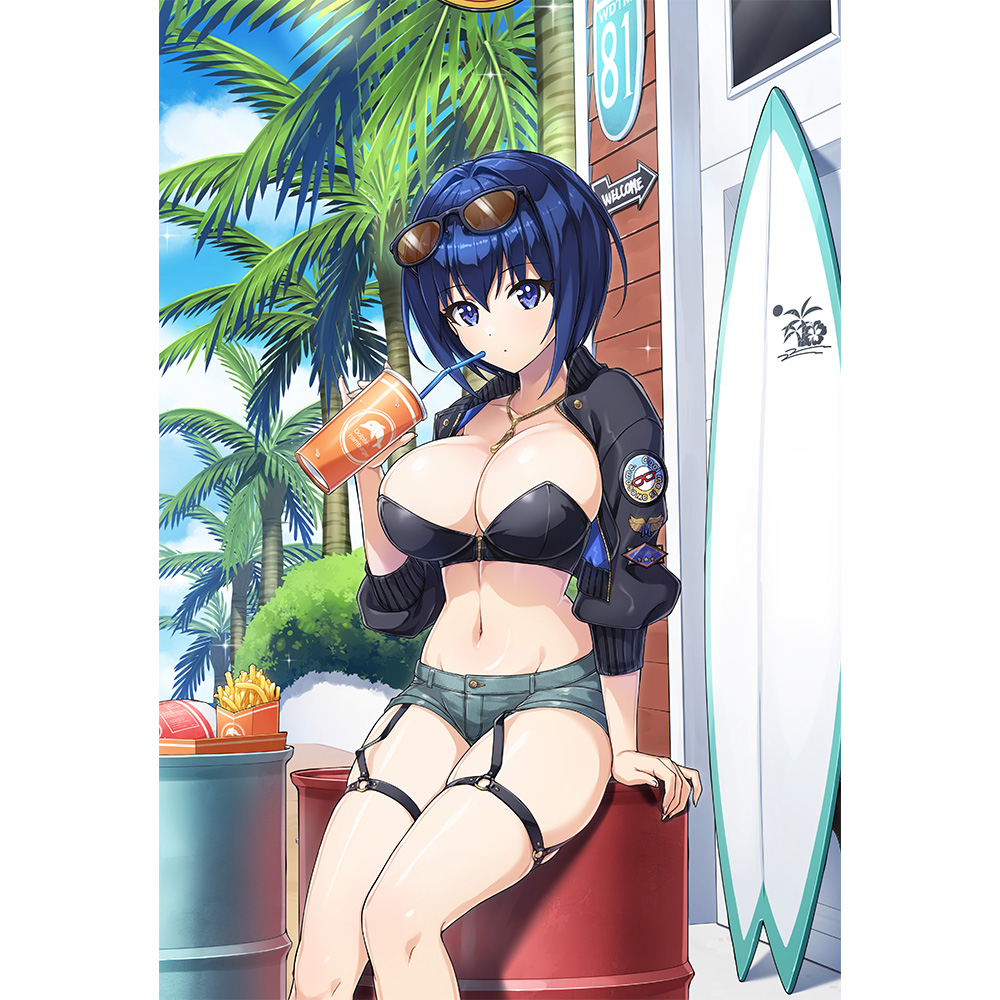 ドルフィンウェーブ 描き下ろしまくらカバー(都条 みちる/コーストライディング) 画像 2 | AniSmile