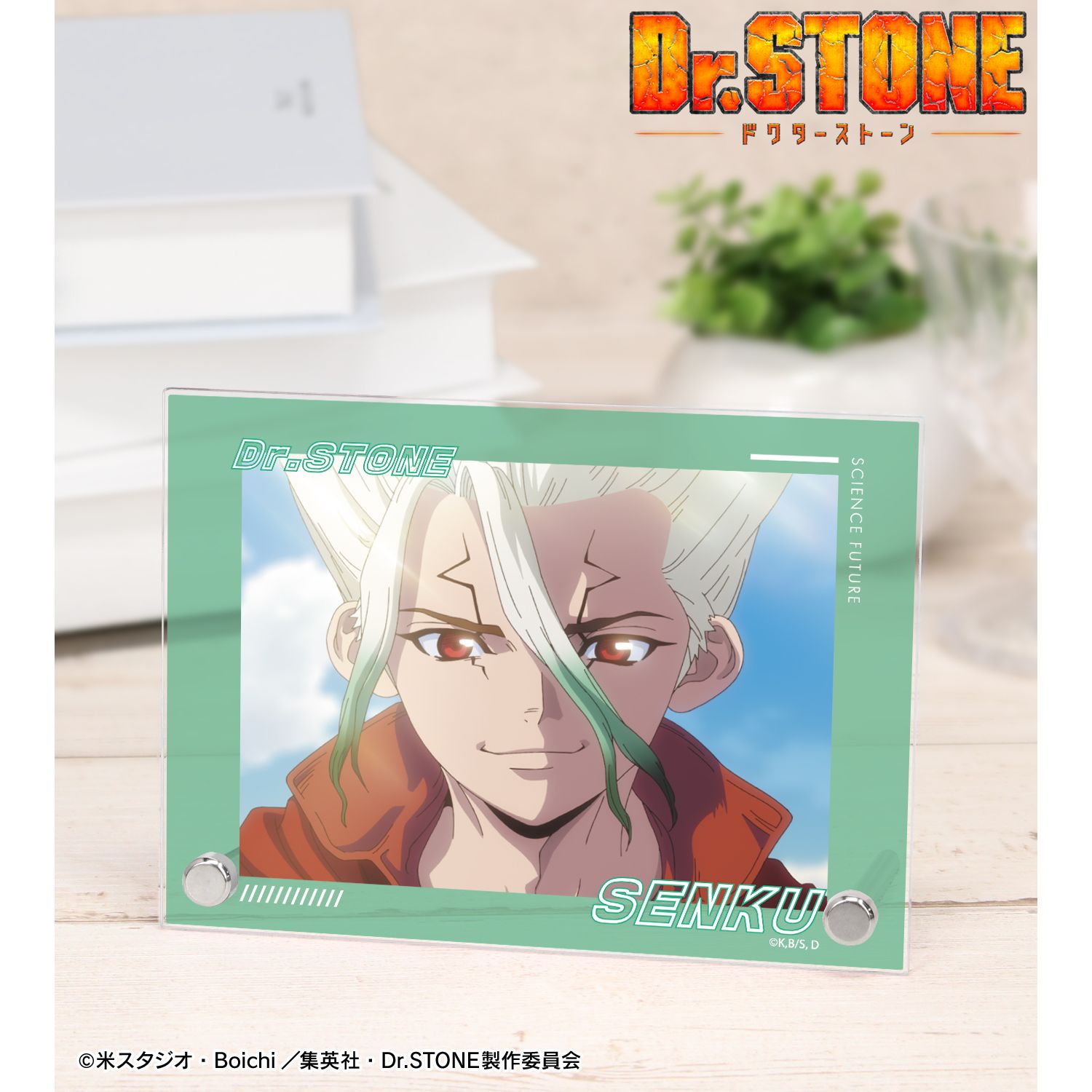 TVアニメ「Dr.STONE」 石神千空 4期23話 A6アクリルパネル 画像 2 | AniSmile