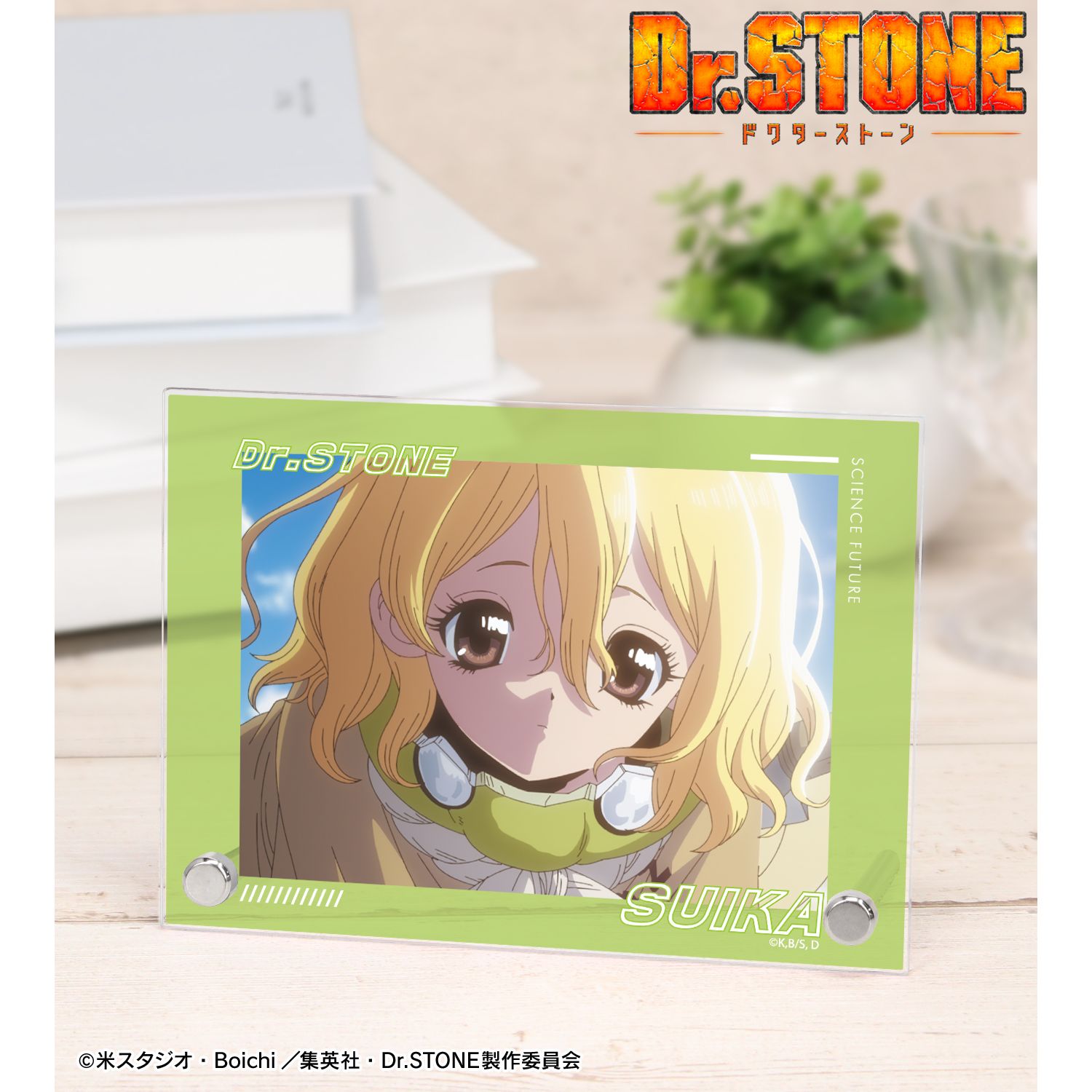 TVアニメ「Dr.STONE」 スイカ 4期23話 A6アクリルパネル 画像 2 | AniSmile