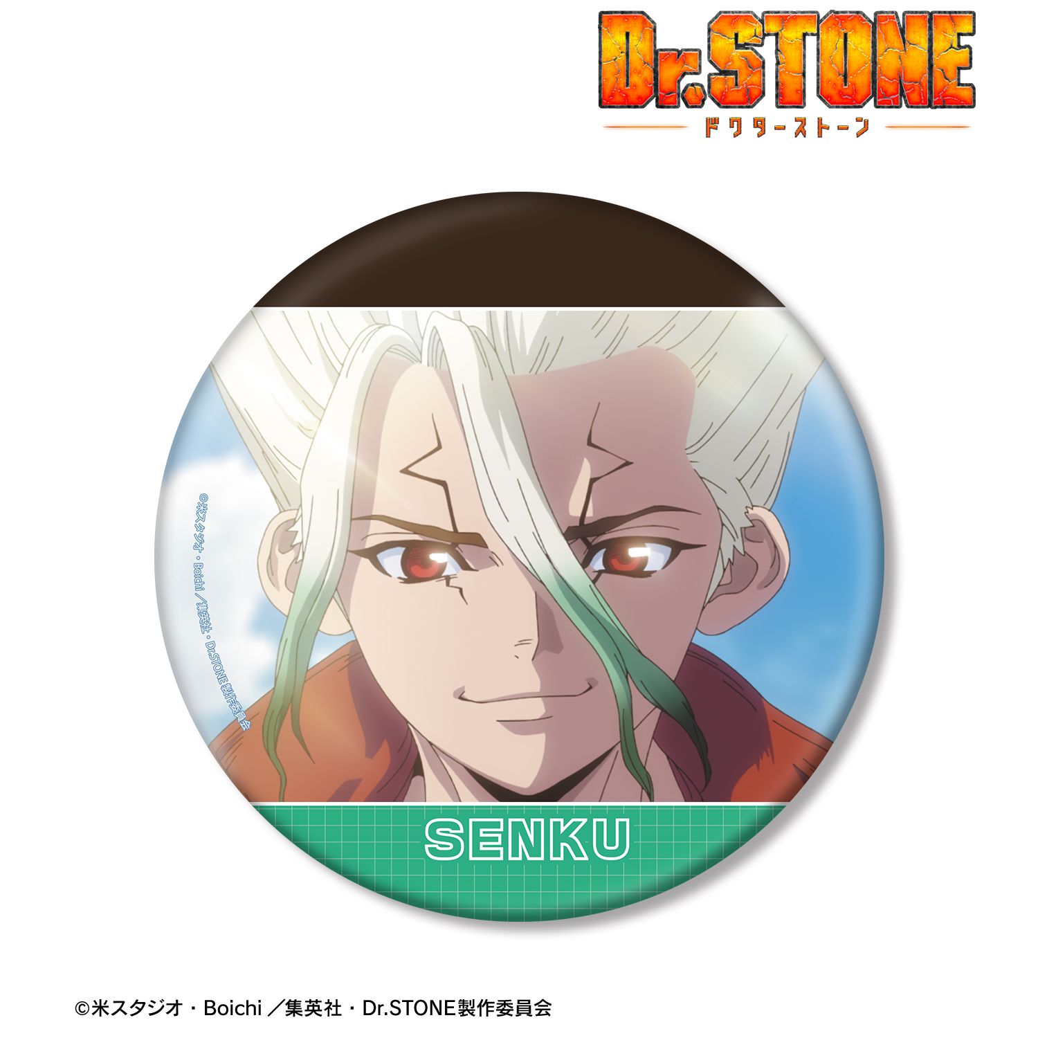 TVアニメ「Dr.STONE」 石神千空 4期23話 BIG缶バッジ 画像 2 | AniSmile