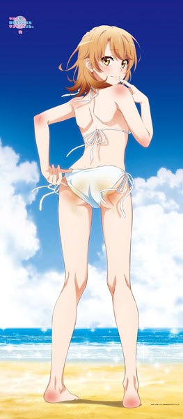 やはり俺の青春ラブコメはまちがっている。完 【描き下ろし】BIGタペストリー いろは(海辺ビキニ) - 公式商品画像 | AniSmile