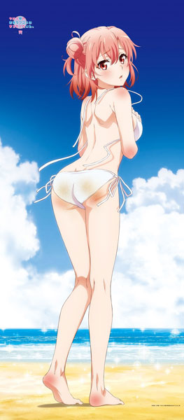やはり俺の青春ラブコメはまちがっている。完 【描き下ろし】BIGタペストリー 結衣(海辺ビキニ) - 公式商品画像 | AniSmile