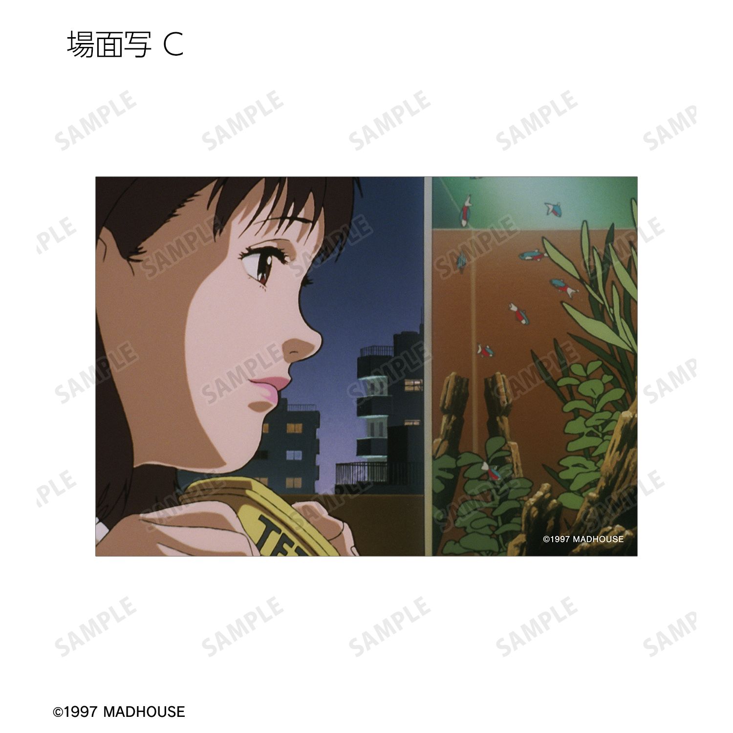 PERFECT BLUE トレーディング場面写ブロマイド(単位/単品) 画像 5 | AniSmile