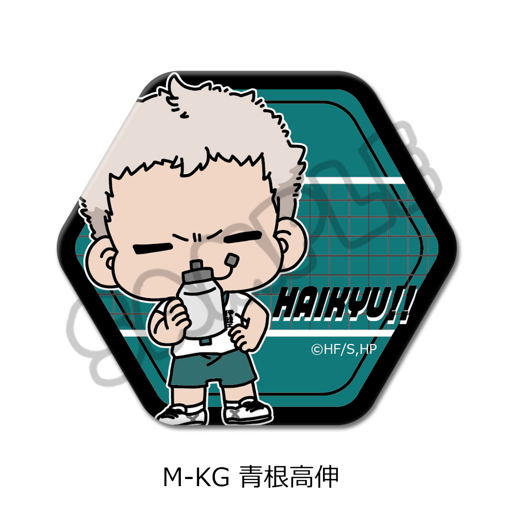 「ハイキュー!!」第10弾 六角形缶バッジ(mochocho) M-KG(青根高伸) - 公式商品画像 | AniSmile
