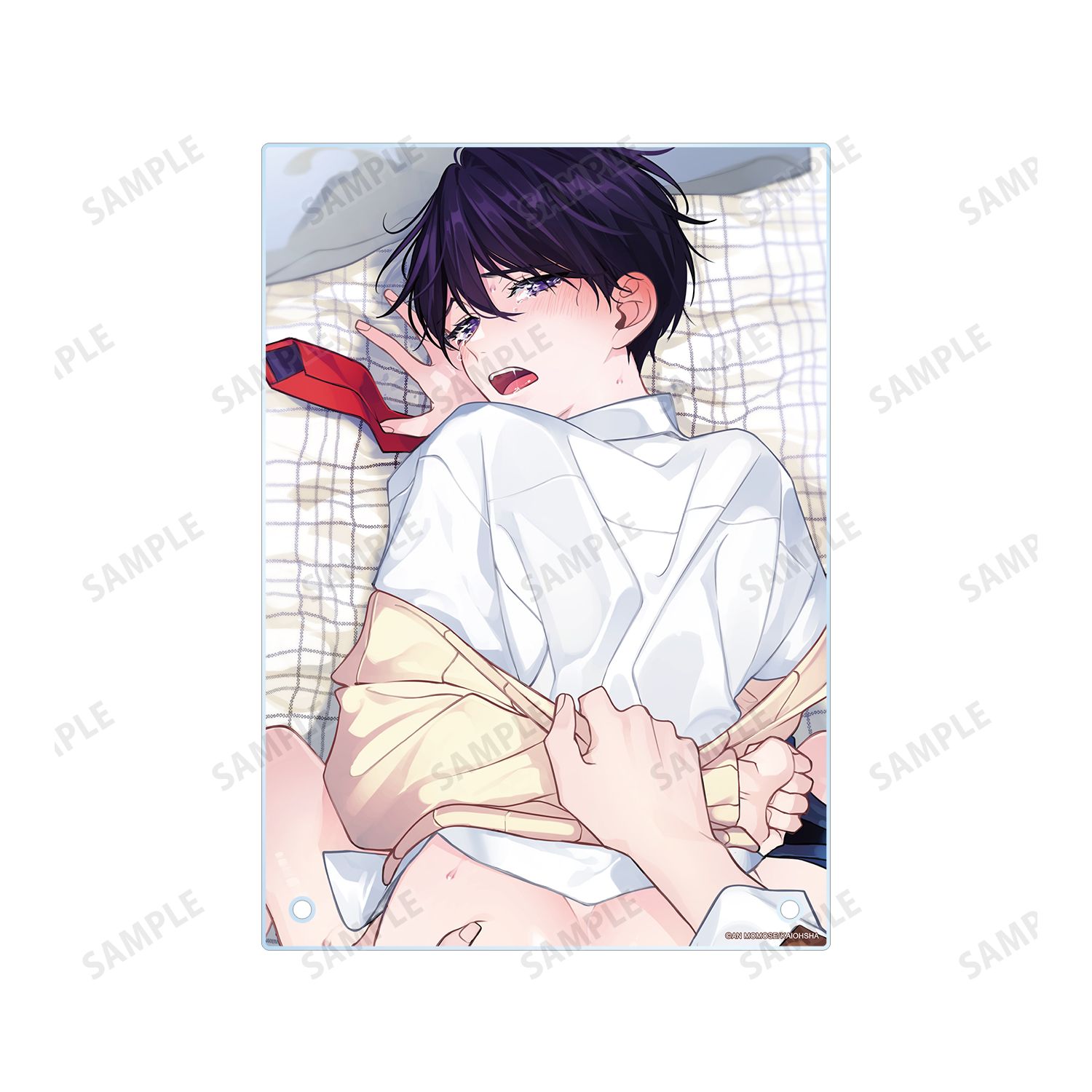 ナカまであいして 2巻表紙イラスト A5アクリルパネル 画像 4 | AniSmile