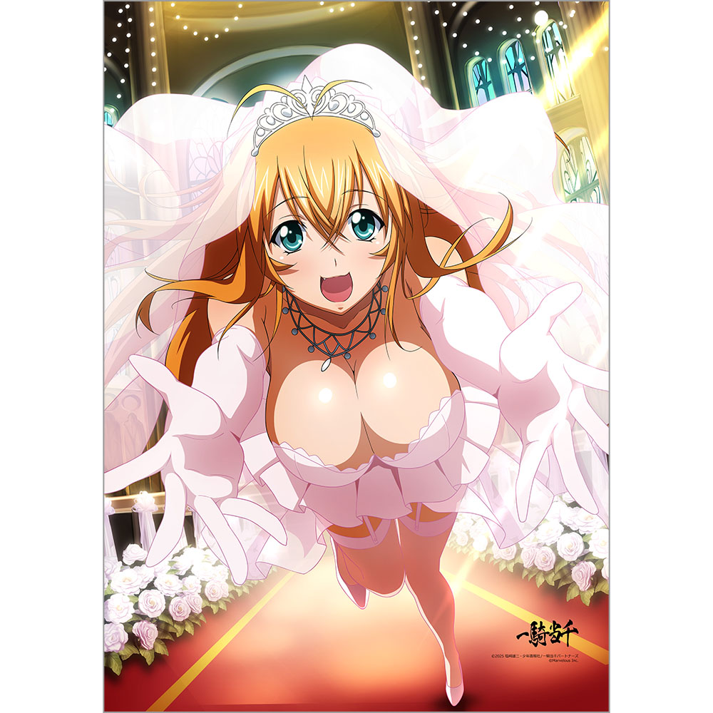一騎当千 B2タペストリー(孫策伯符/ブーケキャッチ)Wスエード - 公式商品画像 | AniSmile