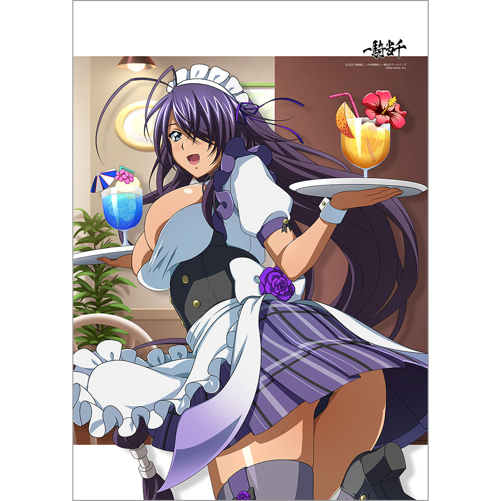 一騎当千 B2タペストリー(関羽雲長/成都最強のメイド長)Wスエード - 公式商品画像 | AniSmile