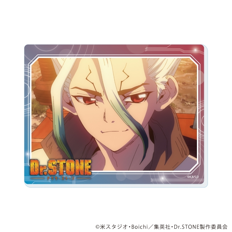アクリルカード「Dr.STONE」18/ブラインド(全11種)(場面写イラスト) 画像 2 | AniSmile