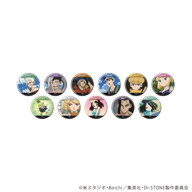 缶バッジ「Dr.STONE」39/ブラインド(全11種)(場面写イラスト) - 公式商品画像 | AniSmile