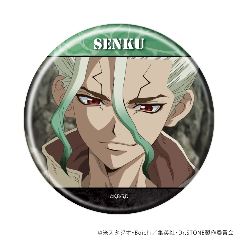 缶バッジ「Dr.STONE」38/ブラインド(全11種)(場面写イラスト) 画像 2 | AniSmile