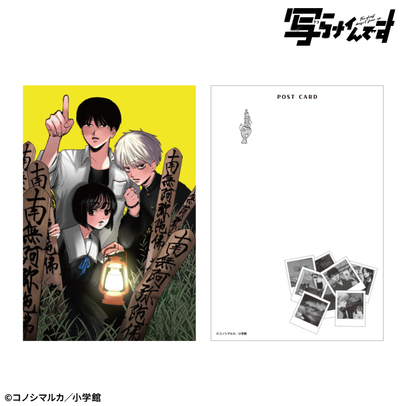 【写らナイんです】表紙絵ポストカードセット - 公式商品画像 | AniSmile