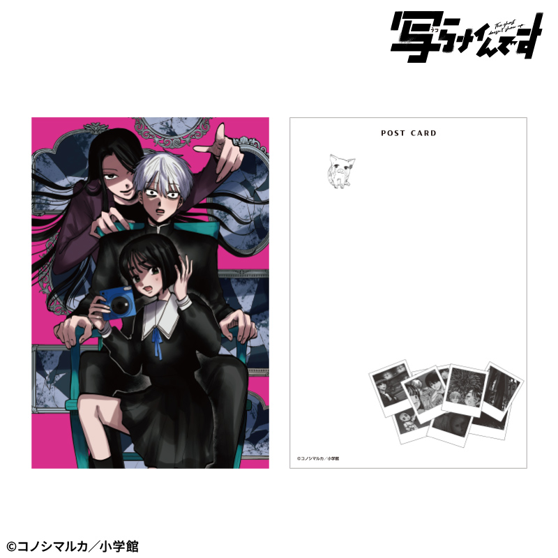 【写らナイんです】表紙絵ポストカードセット 画像 2 | AniSmile