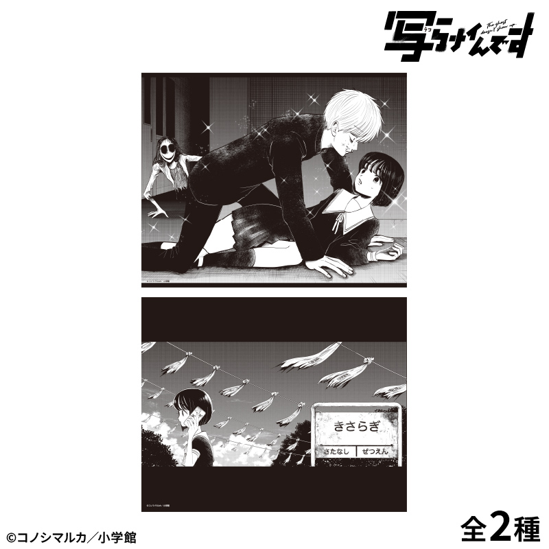 【写らナイんです】キャンバスボード:テケテケ - 公式商品画像 | AniSmile