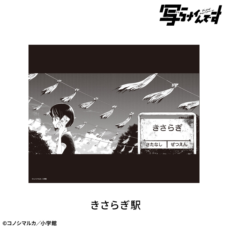 【写らナイんです】キャンバスボード:きさらぎ駅 画像 2 | AniSmile