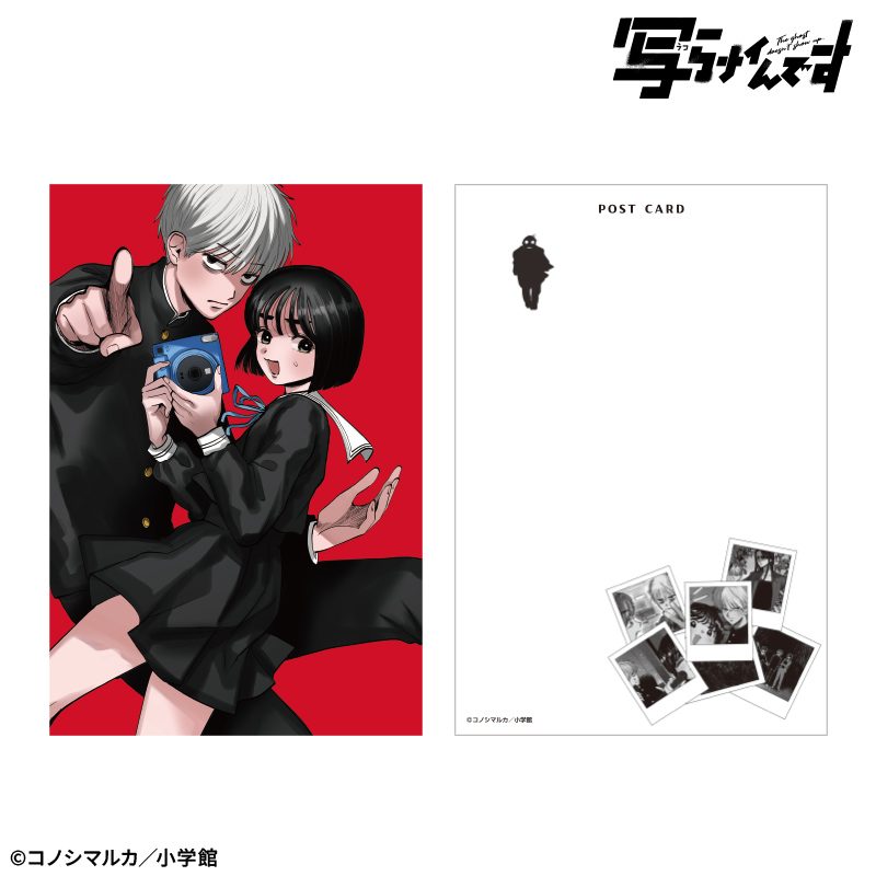 【写らナイんです】表紙絵ポストカードセット 画像 5 | AniSmile
