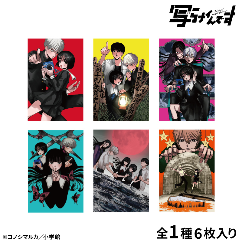 【写らナイんです】表紙絵ポストカードセット 画像 6 | AniSmile