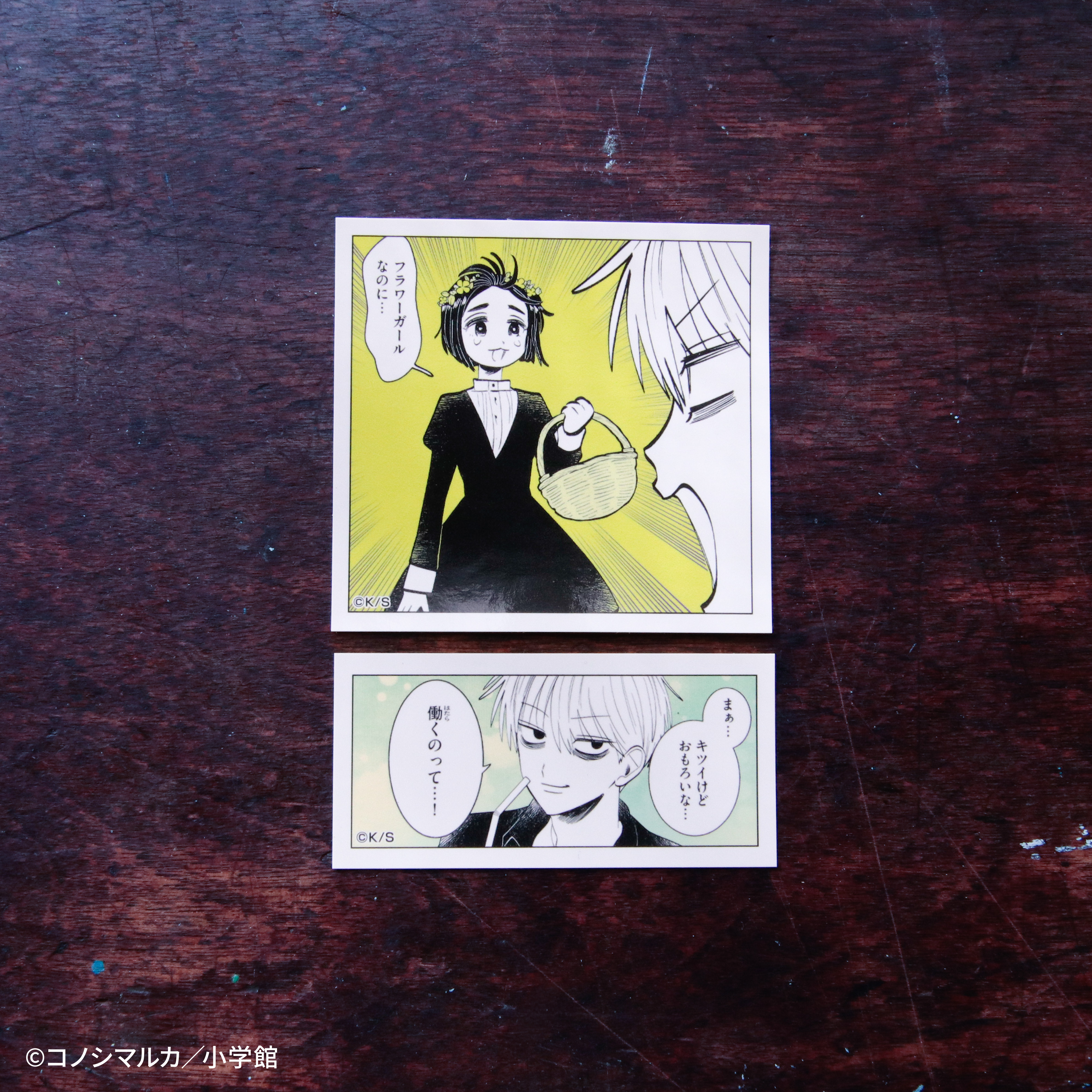 【写らナイんです】ゆるコマステッカーセット2枚:黒桐まこと&橘みちるA 画像 3 | AniSmile