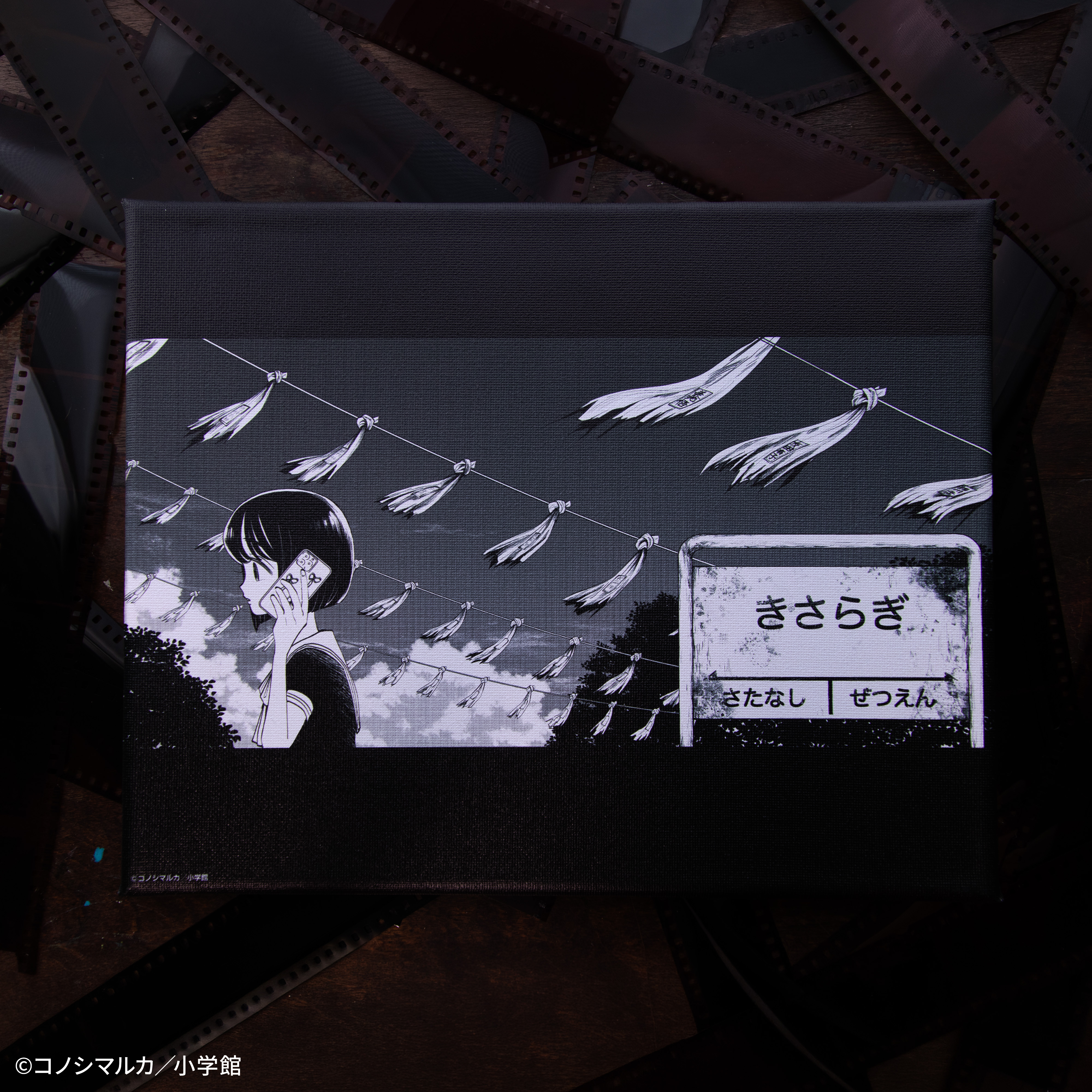 【写らナイんです】キャンバスボード:きさらぎ駅 画像 3 | AniSmile