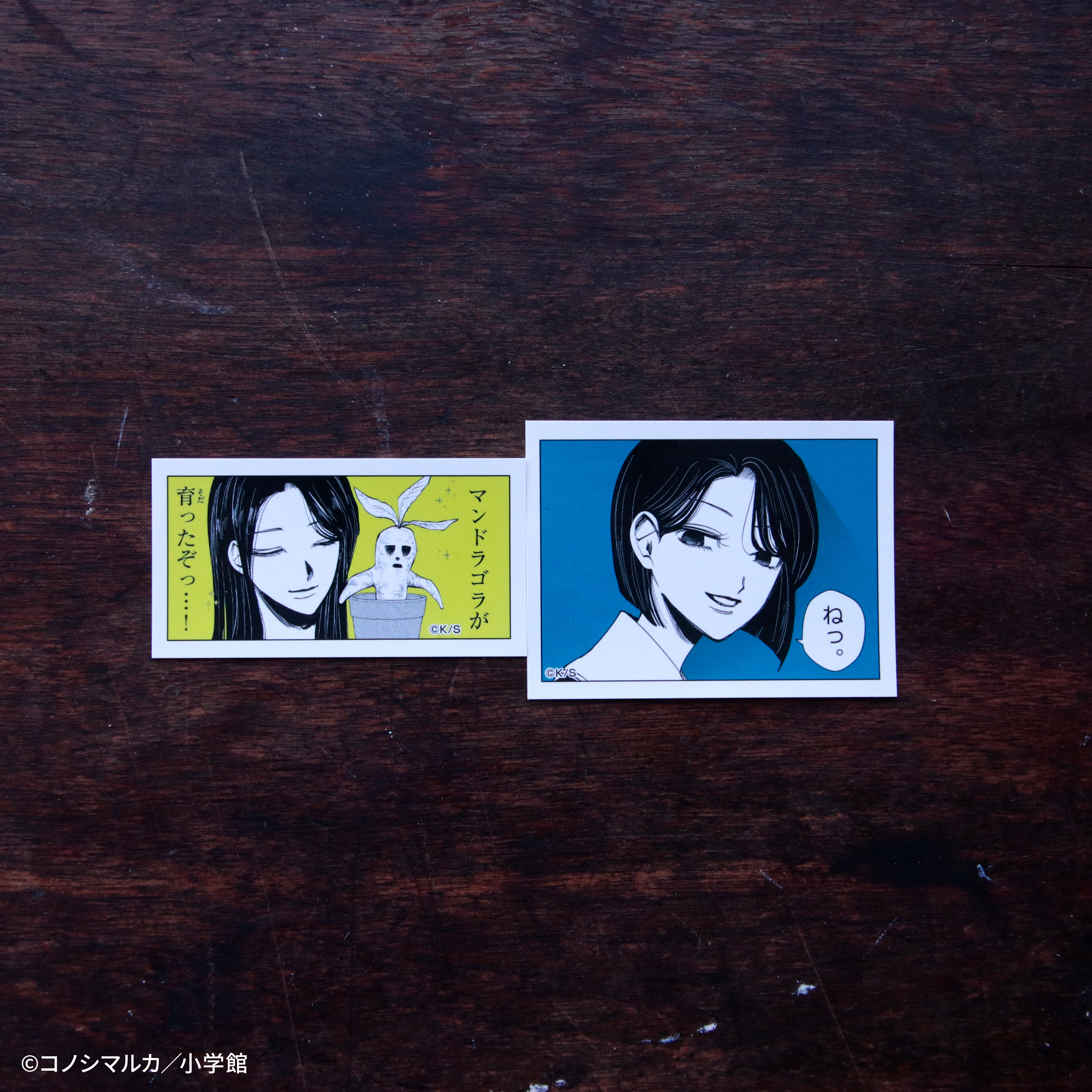 【写らナイんです】ゆるコマステッカーセット2枚:間宮先生 画像 4 | AniSmile